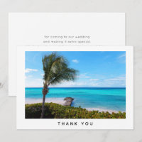 Beautiful Tropical Beach Breezy Palm Tree