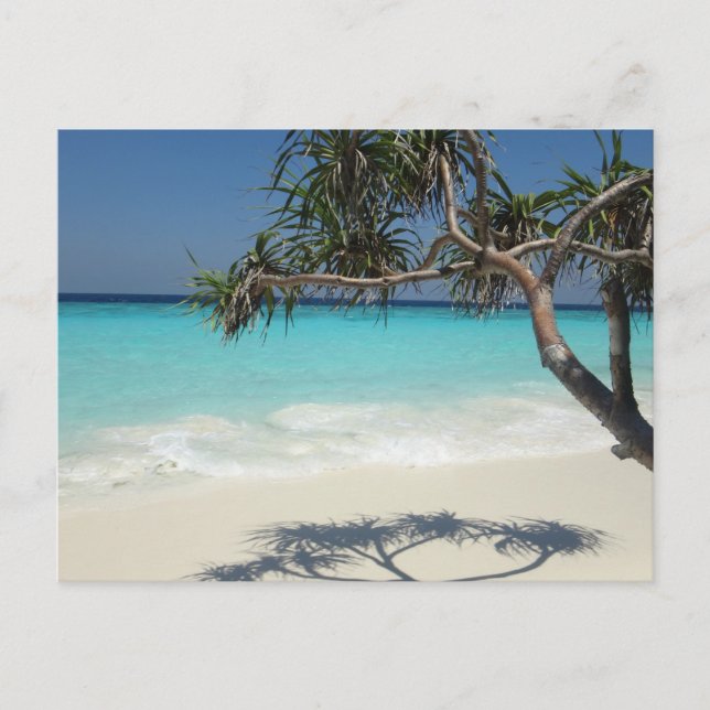  Beautiful Tropical Beach Ocean Paradise Postcard (Front)