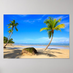 Beautiful tropical beach with palm trees poster