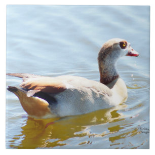 Beautiful tropical duck Tile