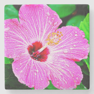 Beautiful Tropical Flower Stone Coaster
