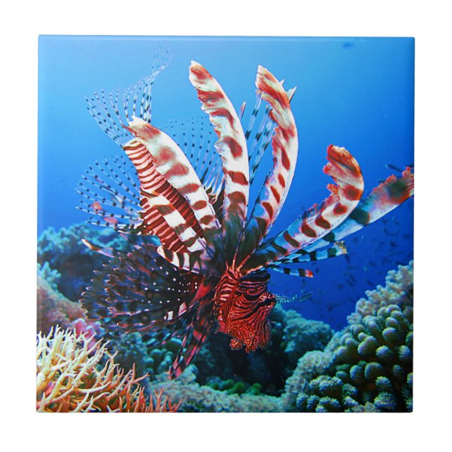 Beautiful Tropical Lionfish Tile (Front)