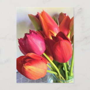 Beautiful Tulip Bouquet Postcard