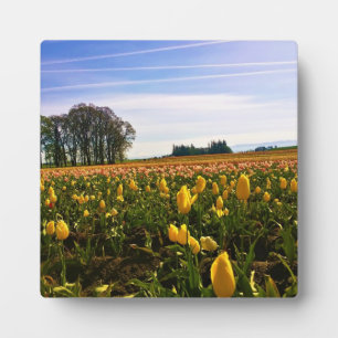 Beautiful Tulip Field, Oregon Plaque
