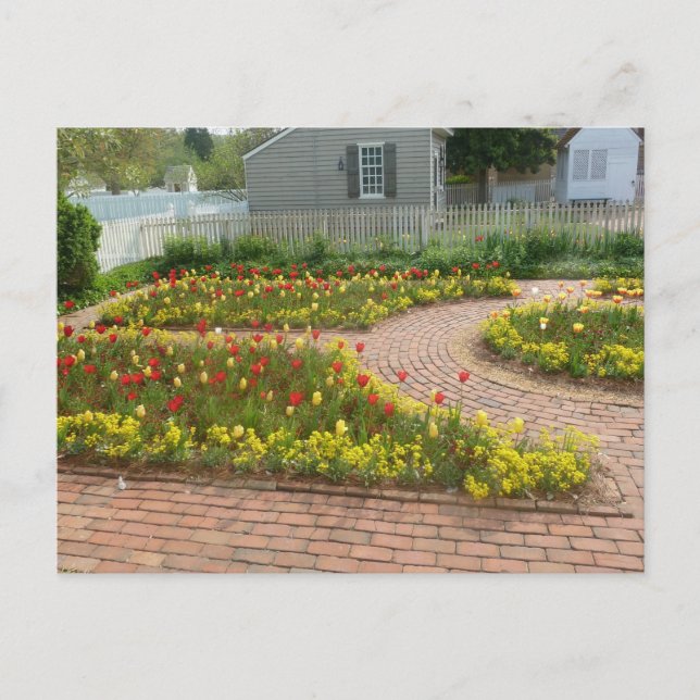Beautiful tulip garden Colonial Williamsburg Postcard (Front)