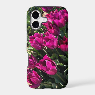 Beautiful Tulips