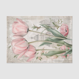 Beautiful Tulips from Amsterdam Tissue Paper