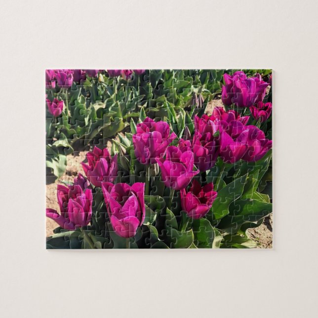 Beautiful Tulips Jigsaw Puzzle (Horizontal)