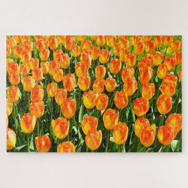 Beautiful tulips jigsaw puzzle (Horizontal)