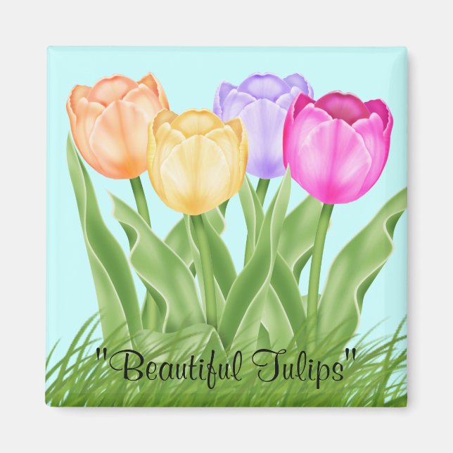 Beautiful Tulips Magnet (Front)
