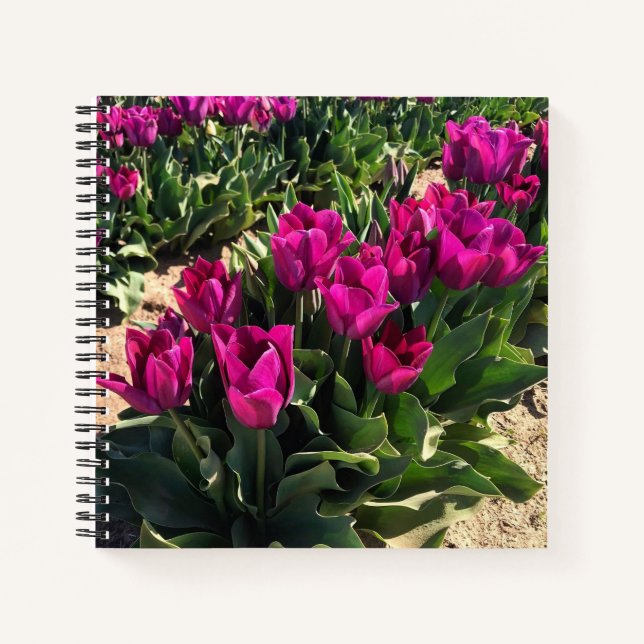 Beautiful Tulips Notebook (Front)