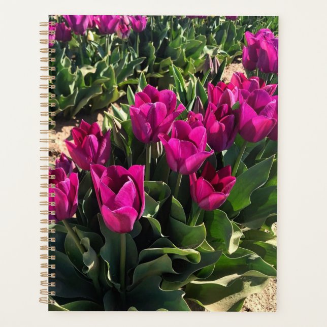 Beautiful Tulips Planner (Front)