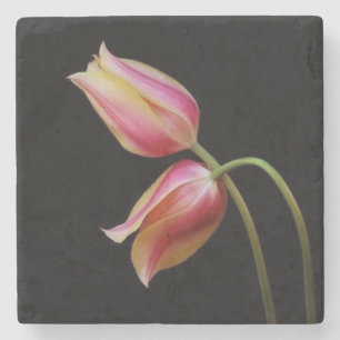 Beautiful Tulips Stone Coaster