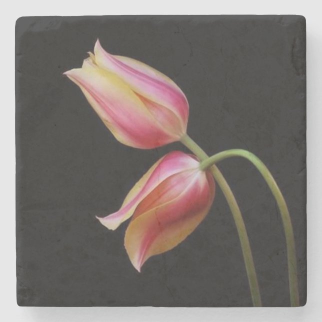Beautiful Tulips Stone Coaster (Front)