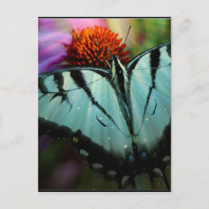 Beautiful Turquoise Swallowtail Butterfly Postcard