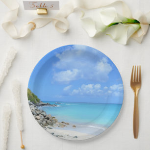Beautiful Turquoise Tropical Beach Paper Plate