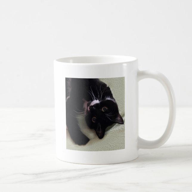 Beautiful Tuxedo cat Coffee Mug (Right)