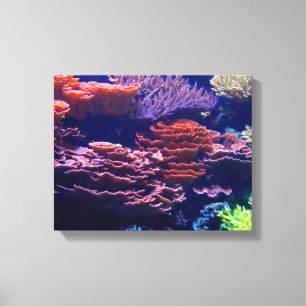 beautiful underwater ocean scene, life beneath sea canvas print