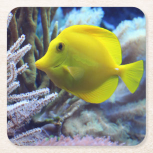 Beautiful Underwater Yellow Tang Fish and Coral Square Paper Coaster
