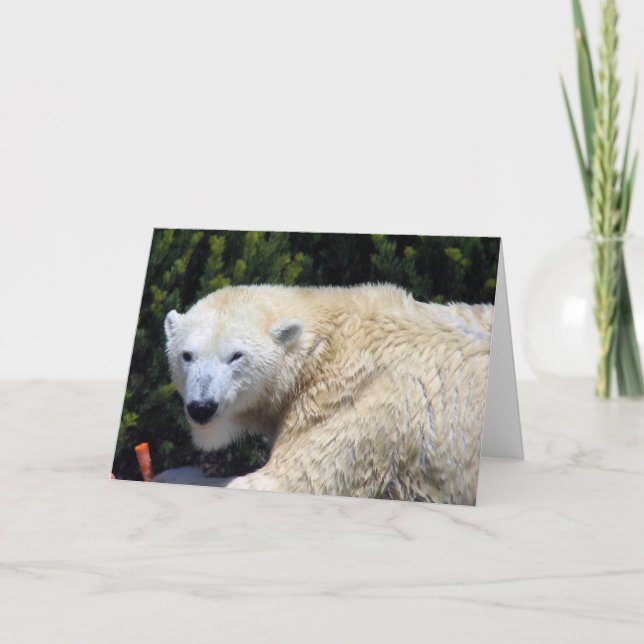 Beautiful Unique Polar Bear Custom Card (Front)