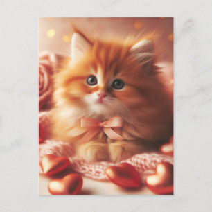 Beautiful Valentine Kitten Postcard