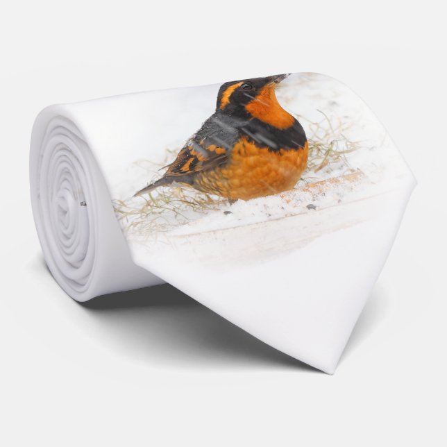 Beautiful Varied Thrush Songbird in the Snow Tie (Rolled)