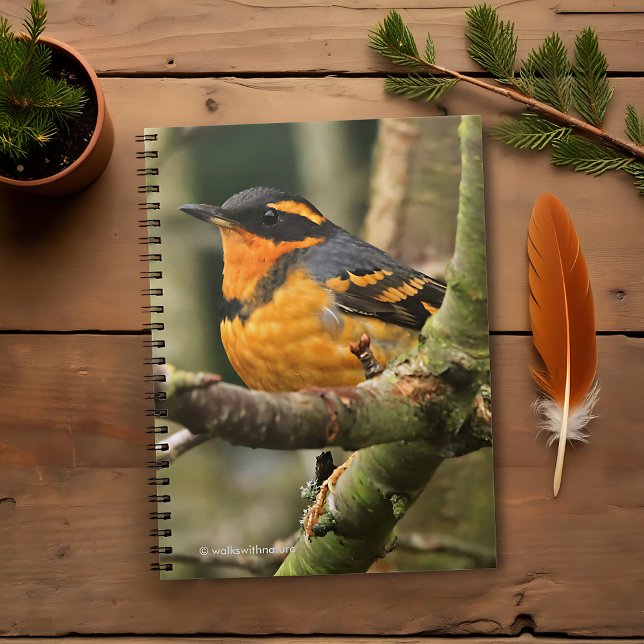 Beautiful Varied Thrush Songbird in the Tree Spiral Notebook (Beautiful Varied Thrush in the Tree Journal Cover Photo)