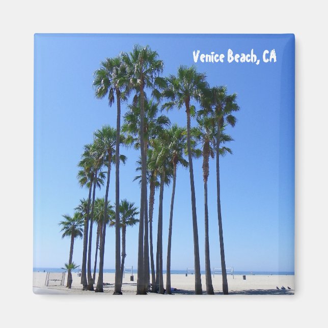 Beautiful Venice Beach Magnet! Magnet (Front)