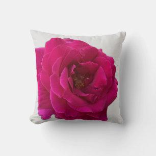 Beautiful Vibrant Hot Pink Rose in Full Bloom Cushion