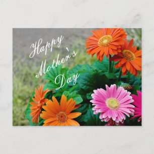 Beautiful Vibrant Mother's Day Gerbera Daisy Card