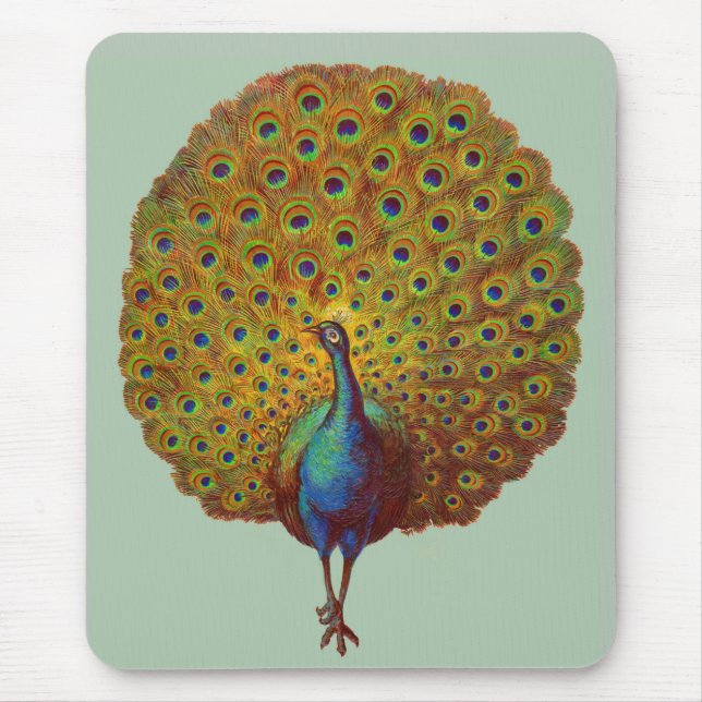 beautiful Victorian peacock print Mouse Pad (Front)
