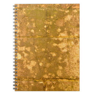 Beautiful vintage background. Abstract grunge deco Notebook