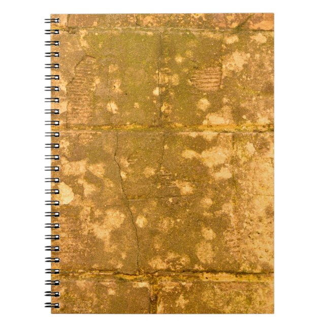 Beautiful vintage background. Abstract grunge deco Notebook (Front)
