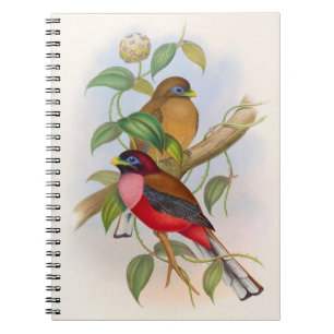 Beautiful Vintage Bird Illustration Colourful Notebook