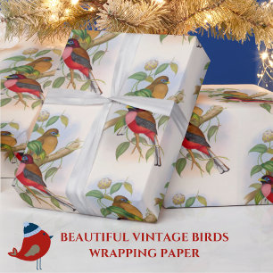 Beautiful Vintage Bird Illustration Colourful Wrapping Paper