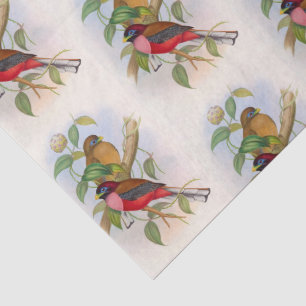 Beautiful Vintage Bird Illustration Decoupage Tissue Paper