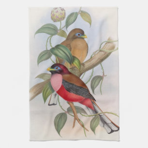 Beautiful Vintage Bird Illustration Kitchen Towel