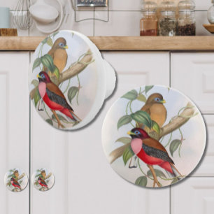 Beautiful Vintage Birds Modern Farmhouse  Ceramic Knob