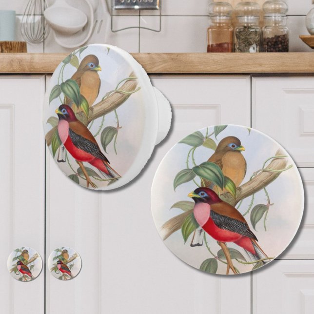 Beautiful Vintage Birds Modern Farmhouse  Ceramic Knob (Add vintage charm and style to your kitchen, bedroom or bathroom with these beautiful bird knobs!)