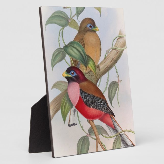Beautiful Vintage Birds Tabletop Plaque with Easel (Side)