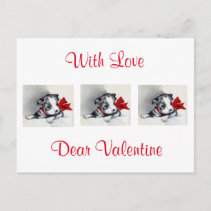 Beautiful Vintage Boston Terrier Puppy Holiday Postcard