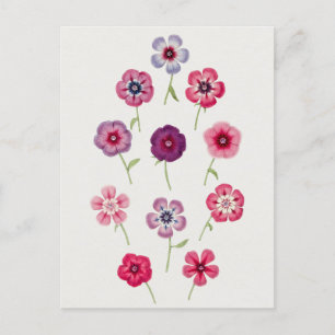 Beautiful Vintage Botanical Illustration  Postcard