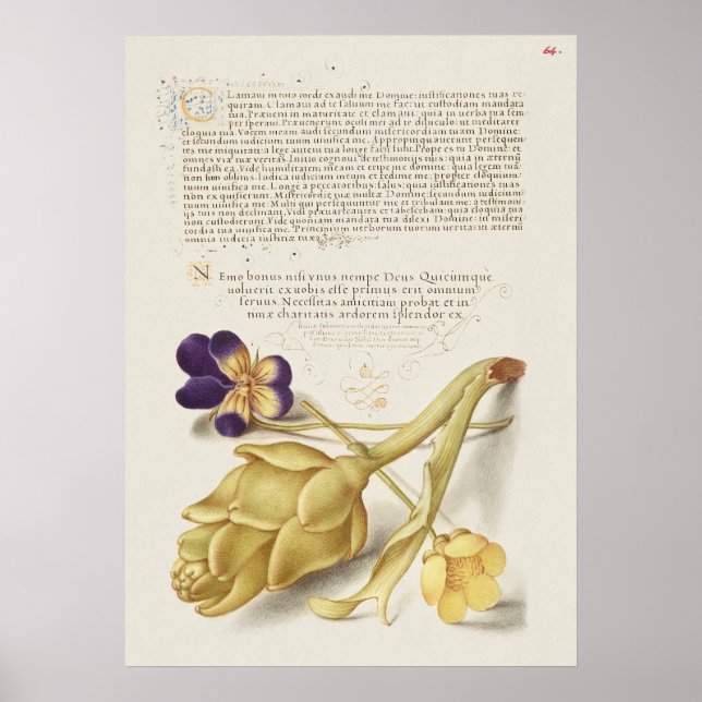 Beautiful Vintage Botanical Illustration Poster (Front)