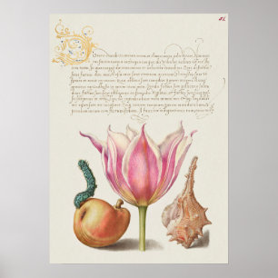 Beautiful Vintage Botanical Illustration Poster