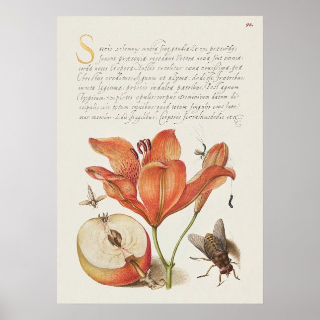 Beautiful Vintage Botanical Illustration Poster (Front)