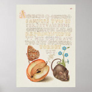 Beautiful Vintage Botanical Illustration Poster