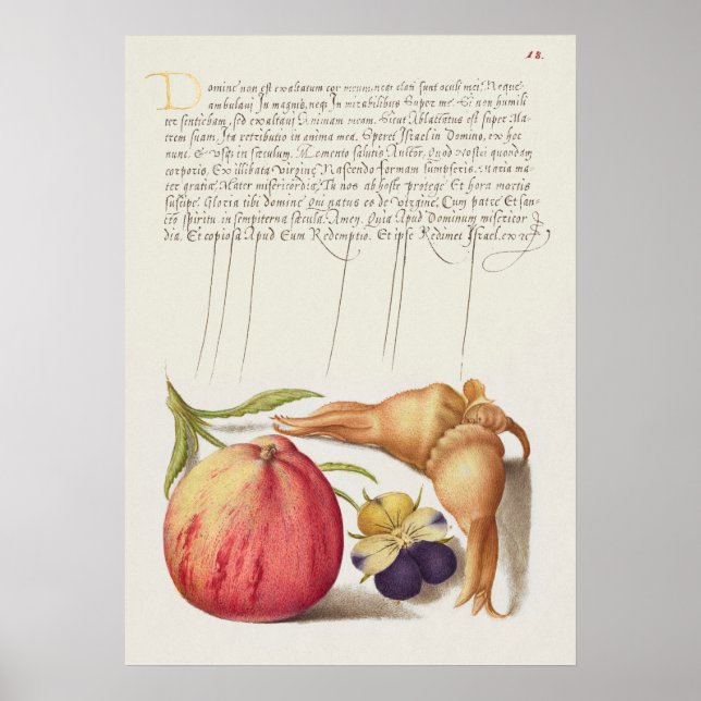 Beautiful Vintage Botanical Illustration Poster (Front)