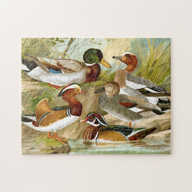 Beautiful Vintage Ducks Jigsaw Puzzle (Horizontal)