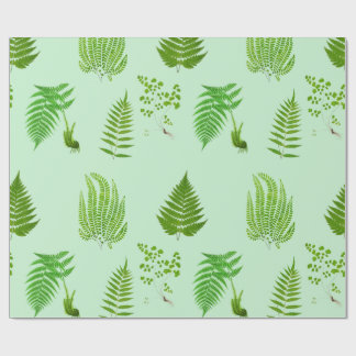 Beautiful vintage ferns paintings wrapping paper