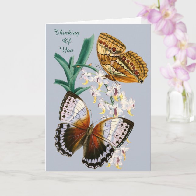 Beautiful Vintage Floral Butterfly Illustration Card (Orchid)